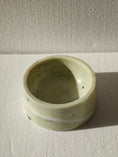 Load image into Gallery viewer, STUDIO ANIMAUX | Marble food and drink bowl | Emerald Green