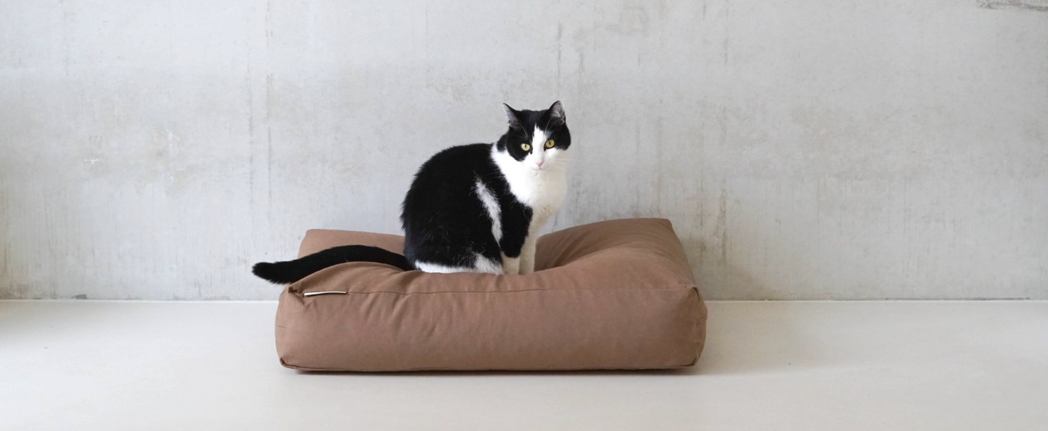 15 must-have pet items: the checklist