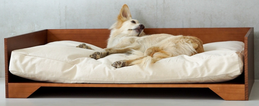 Do you want the perfect dog bed?