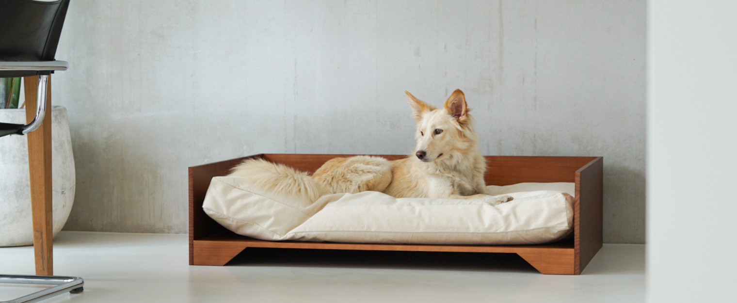 Hair loss from your pet: this is what you can do