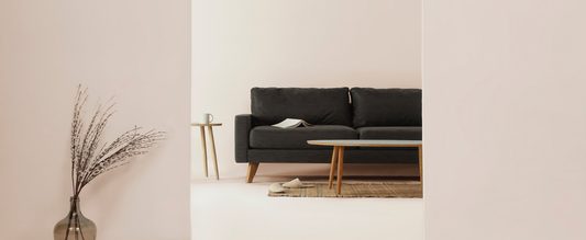 Hoe je jouw huis en tuin pet proof maakt: 7 tips