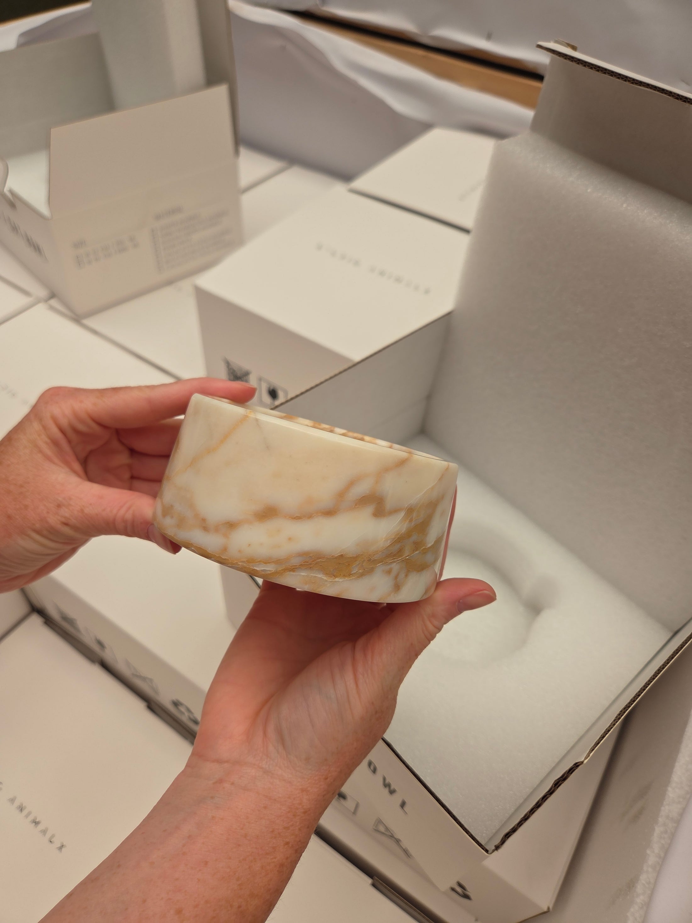 Marble food and drink bowl | Calacatta Gold