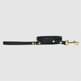 Load image into Gallery viewer, SA&DA - Leather Leash
