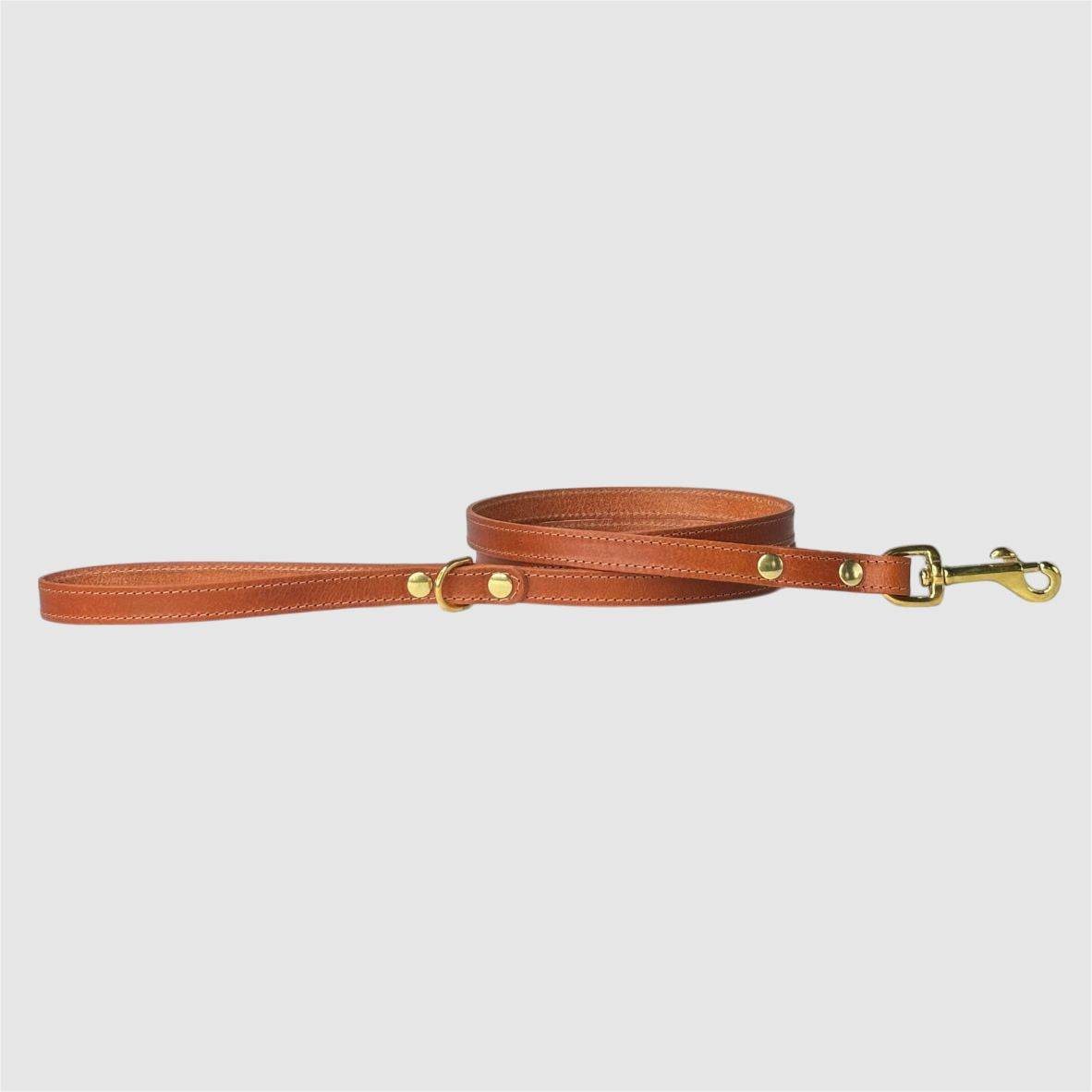 SA&DA - Leather Leash
