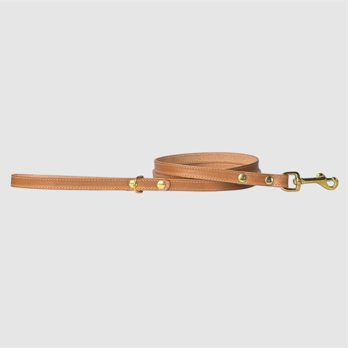 SA&DA - Leather Leash